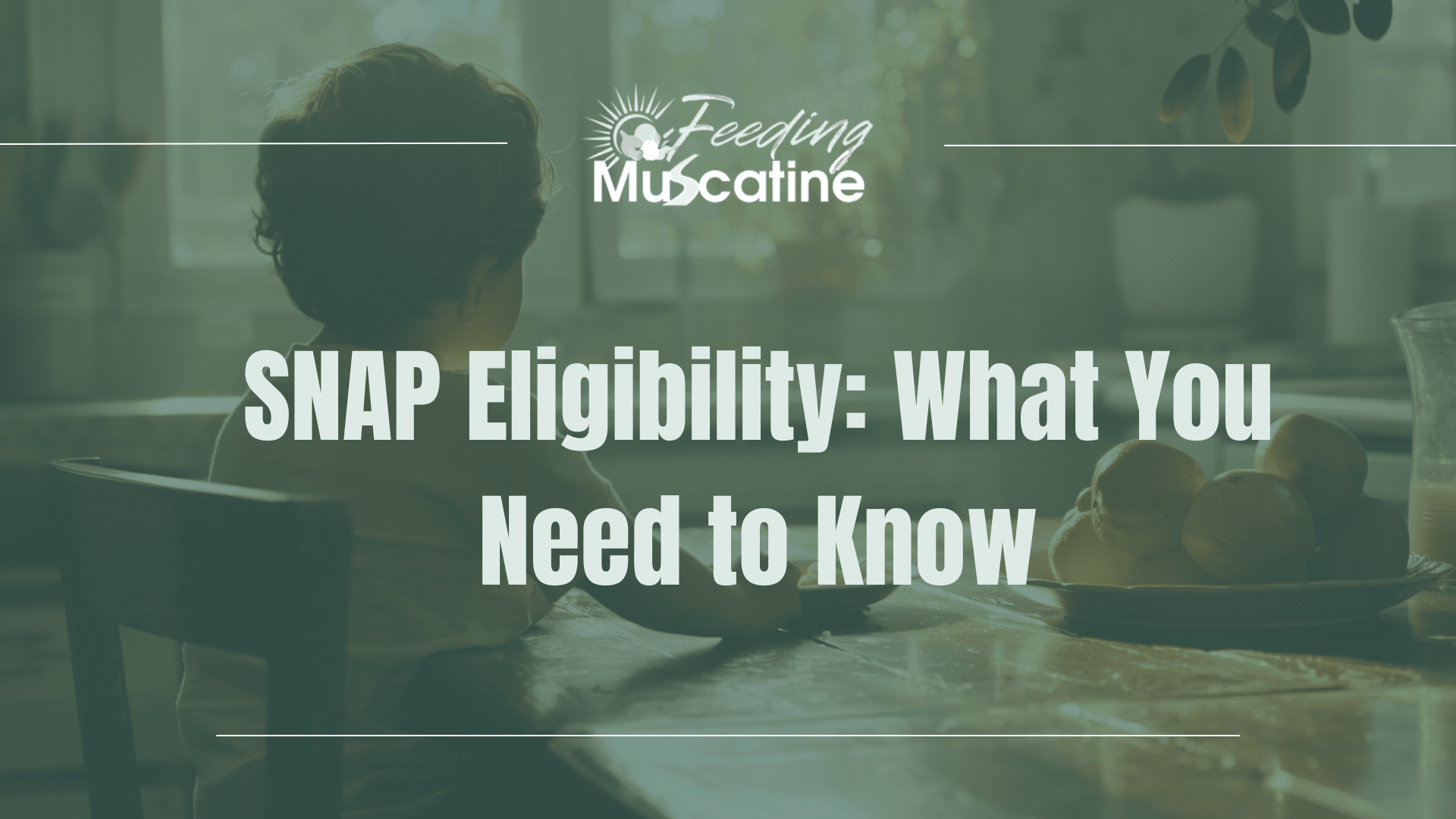 snap eligibility what you need to know